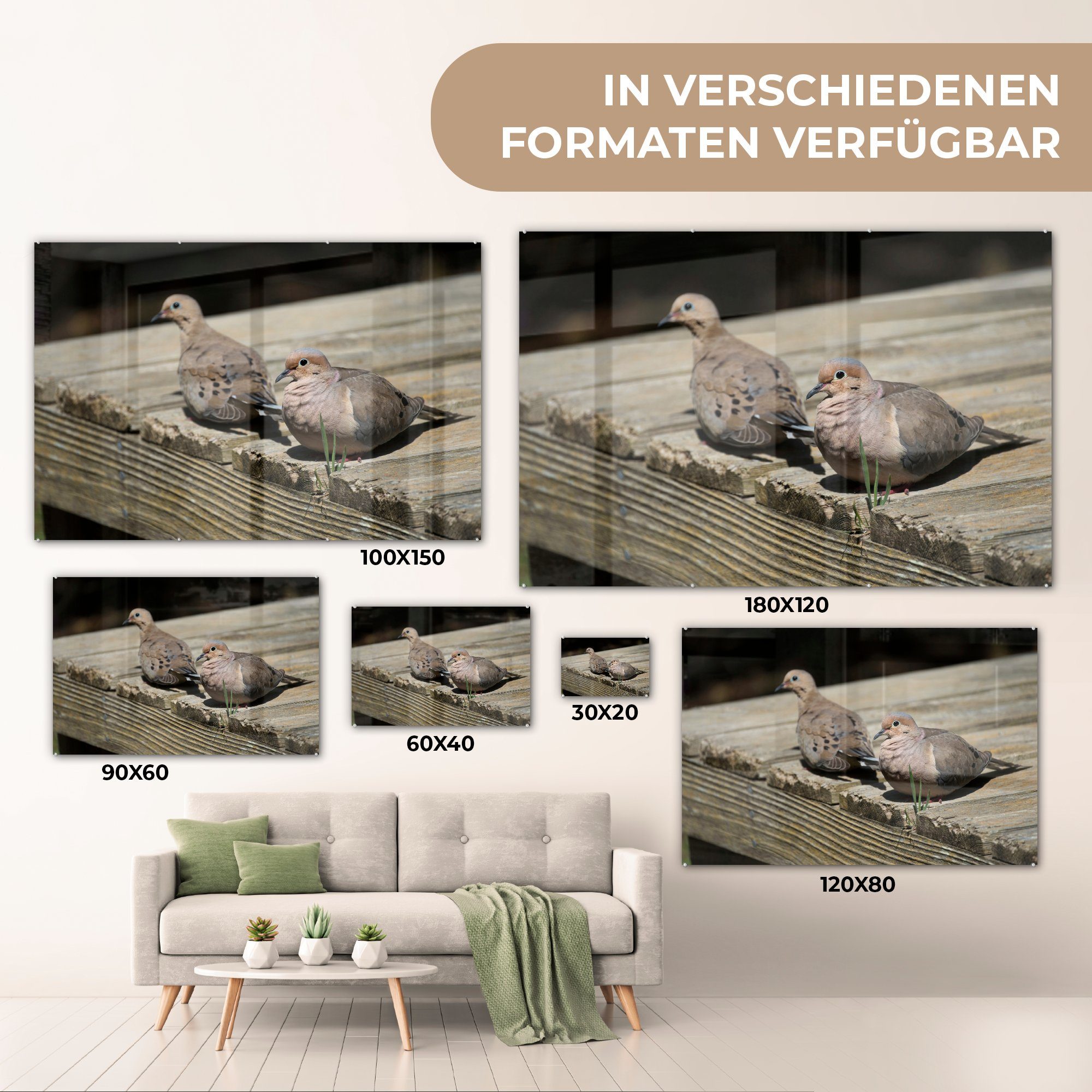 MuchoWow Acrylglasbild Vogel, Acrylglasbilder - Turteltaube (1 Schlafzimmer St), - Wohnzimmer Holz &