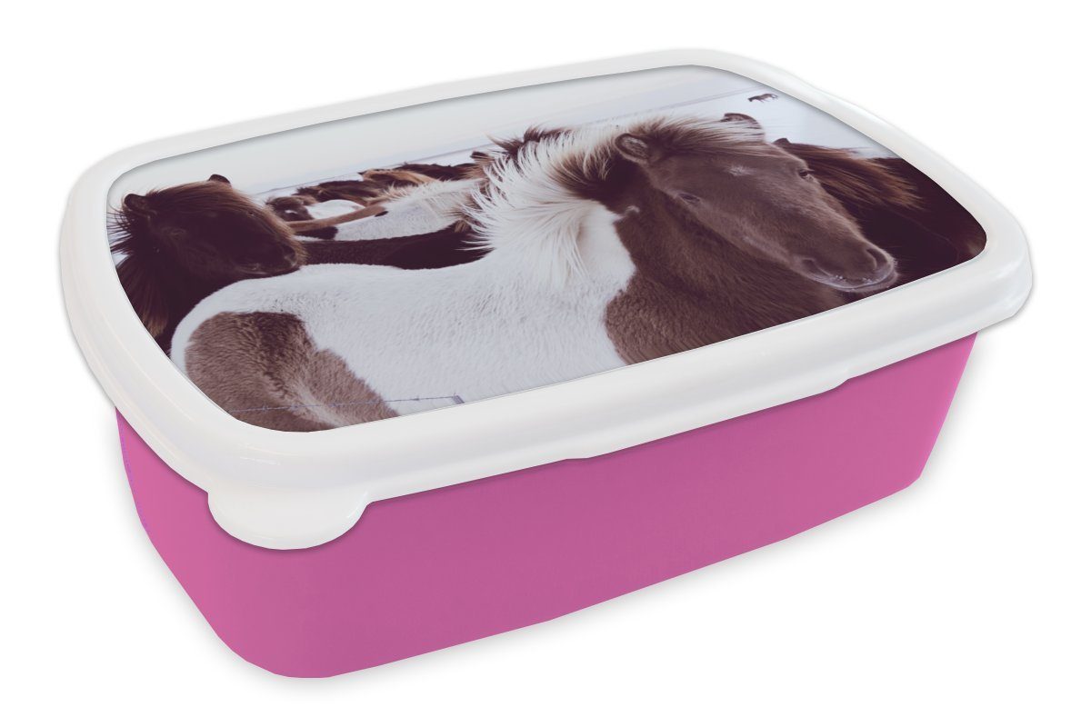 MuchoWow Lunchbox Pferde - Schnee - Island, Kunststoff, (2-tlg), Brotbox für Erwachsene, Brotdose Kinder, Snackbox, Mädchen, Kunststoff rosa