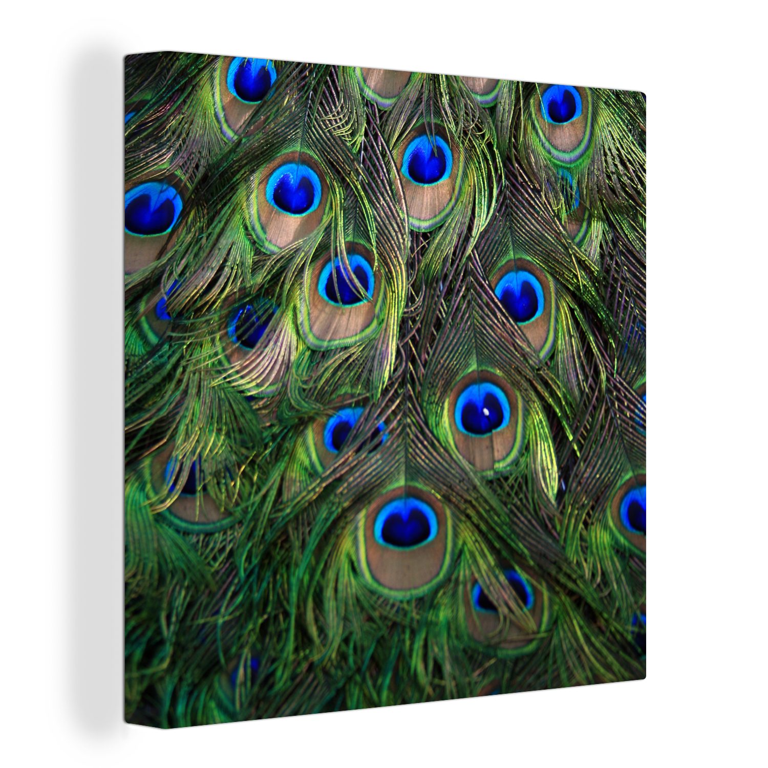 OneMillionCanvasses® Leinwandbild Pfau - Federn St), Blau, Augen Bilder - (1 für Leinwand Schlafzimmer Wohnzimmer 