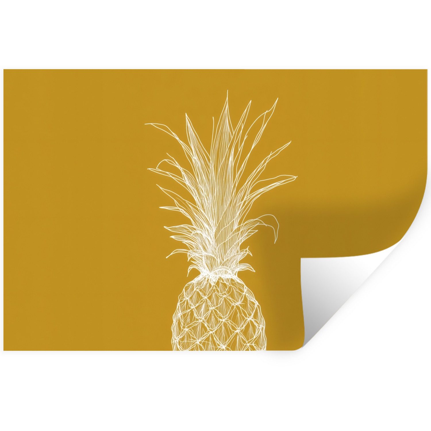 Ananas