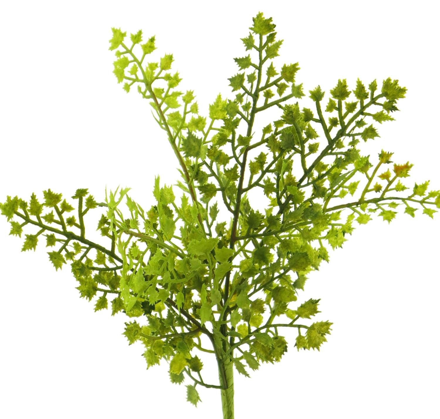 Künstliche Zimmerpflanze Deko Pflanze Frauenhaarfarn SHUMING, Steckstab, grün, 30 cm Farn (Frauenhaarfarn), artplants, Höhe 30.0 cm