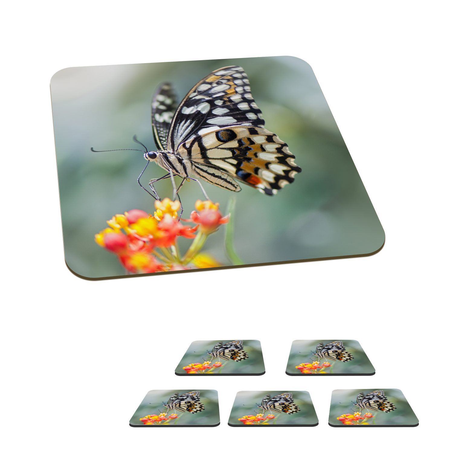 MuchoWow Glasuntersetzer Seiten Schmetterling auf Blume, Zubehör für Gläser, 6-tlg., Glasuntersetzer, Tischuntersetzer, Korkuntersetzer, Untersetzer, Tasse