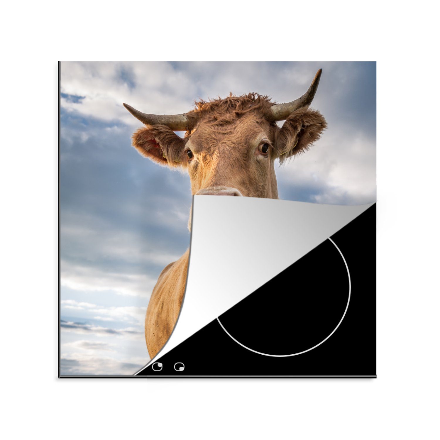 Kuh cm, - für Arbeitsplatte tlg), Herdblende-/Abdeckplatte Ceranfeldabdeckung, Braun - küche Natur, Vinyl, MuchoWow 78x78 (1
