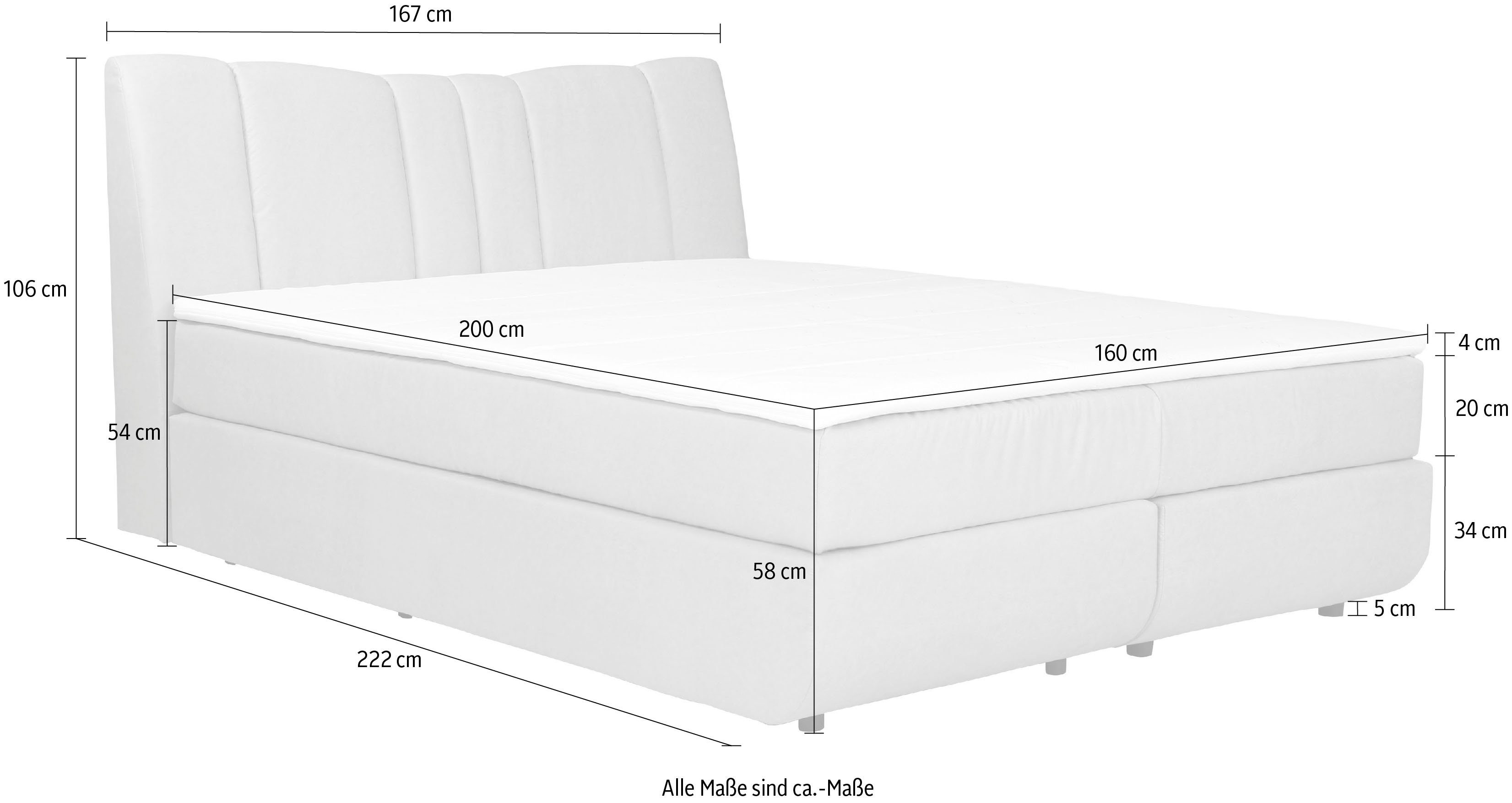 Hailey, gepolstert! Boxbett INOSIGN Kopfteil- aufwendig neues