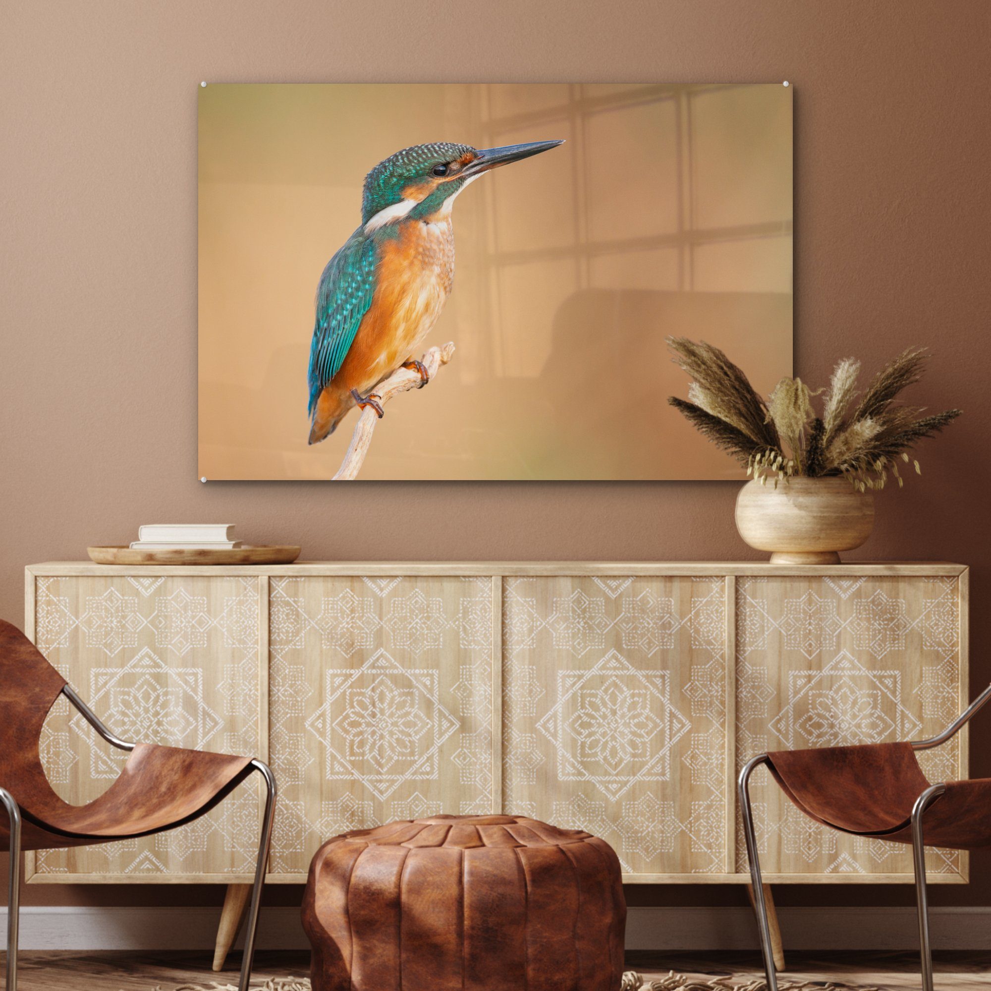 MuchoWow Acrylglasbild Eisvogel - Federn Acrylglasbilder & Wohnzimmer (1 - St), Äste, Schlafzimmer