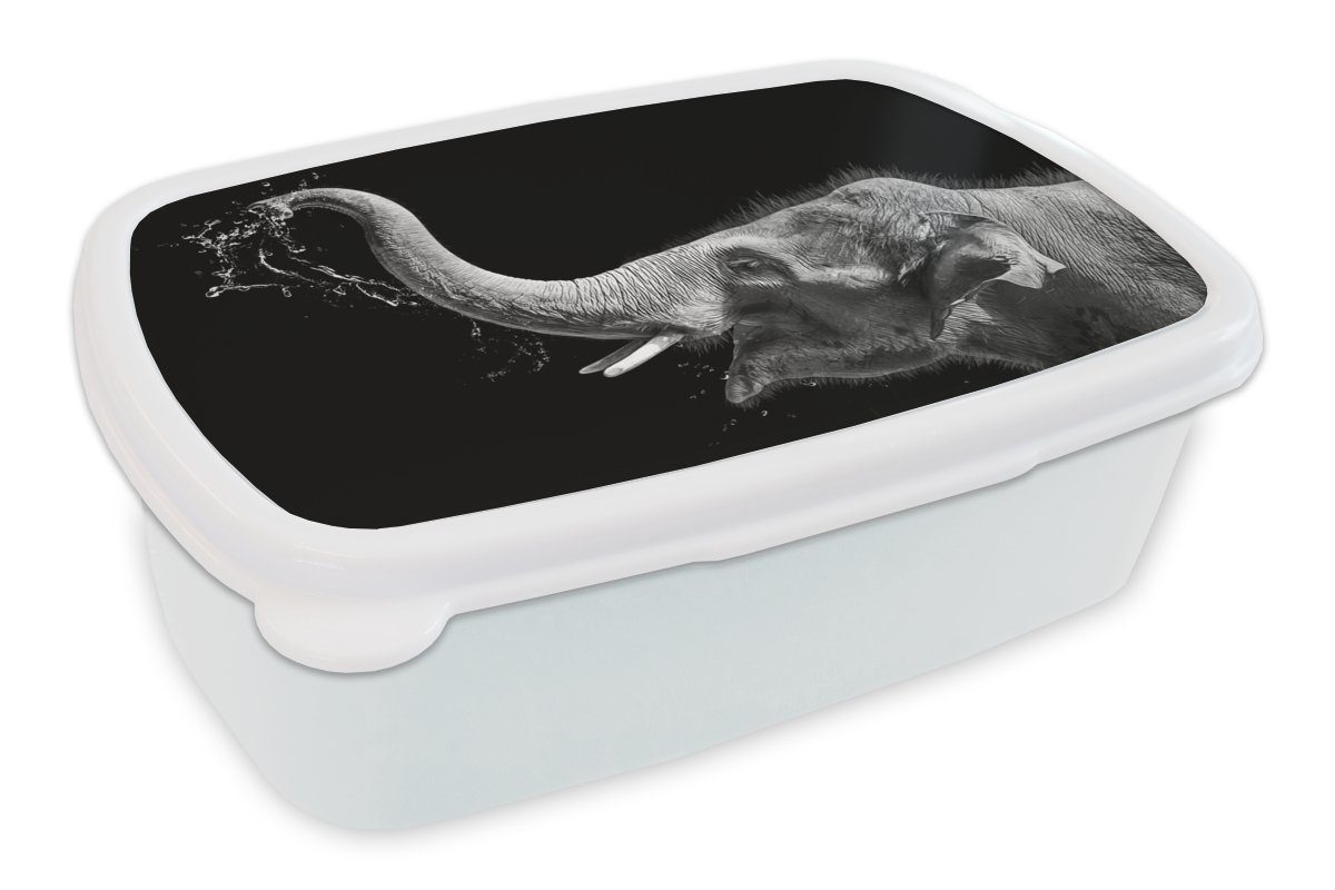 Kinder weiß, für und Mädchen und Brotdose, Schwarz für Erwachsene, und MuchoWow Jungs Porträt Lunchbox Tiere Brotbox - (2-tlg), - Elefant - Kunststoff,