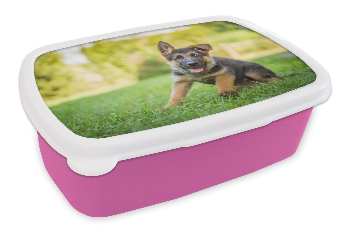 MuchoWow Lunchbox Welpe sitzt im Gras, Kunststoff, (2-tlg), Brotbox für Erwachsene, Brotdose Kinder, Snackbox, Mädchen, Kunststoff rosa