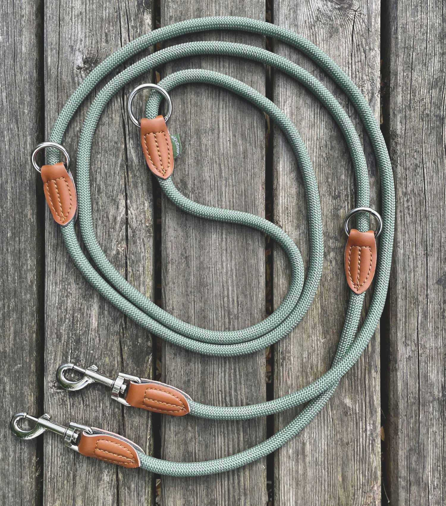 Leisegrün Hundeleine Hundeleine für kleine Hunde, 4-fach verstellbar mit 2 Karabiner, 3 m, Nylon