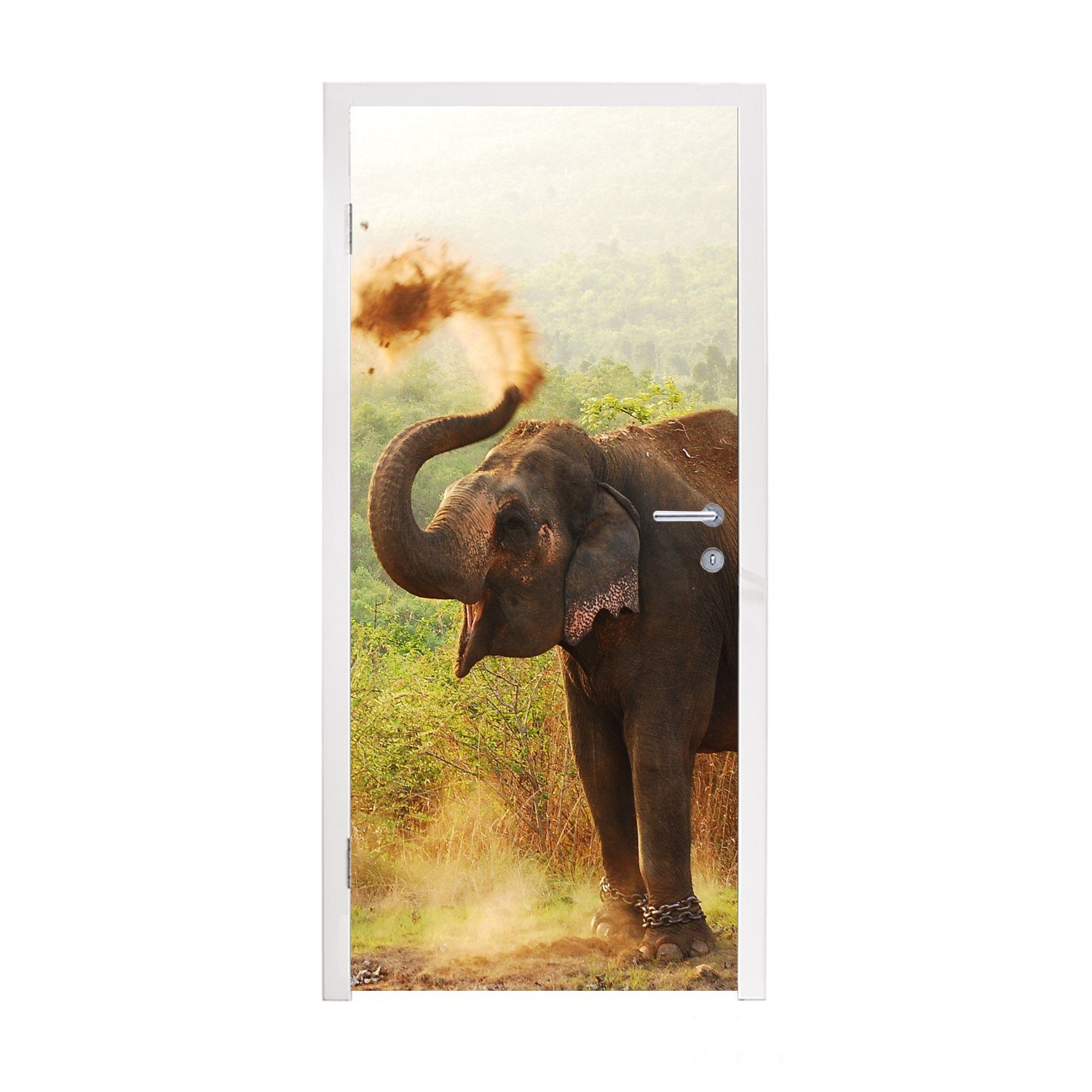 MuchoWow Türtapete Elefant - Tiere - Wald - Bäume, Matt, bedruckt, (1 St), Fototapete für Tür, Türaufkleber, 75x205 cm