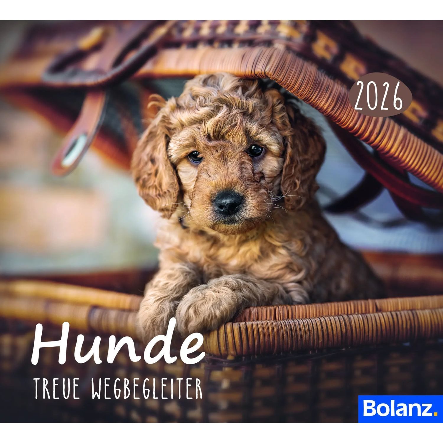 Tischkalender Hunde 2026