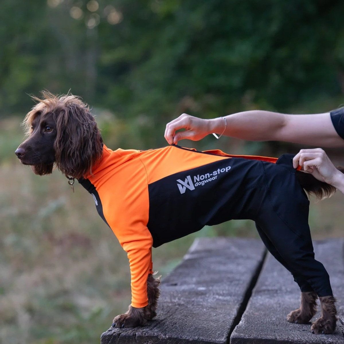 Non-stop dogwear Hundeoverall Hundeanzug für Rüden Protector Suit M orange/schwarz