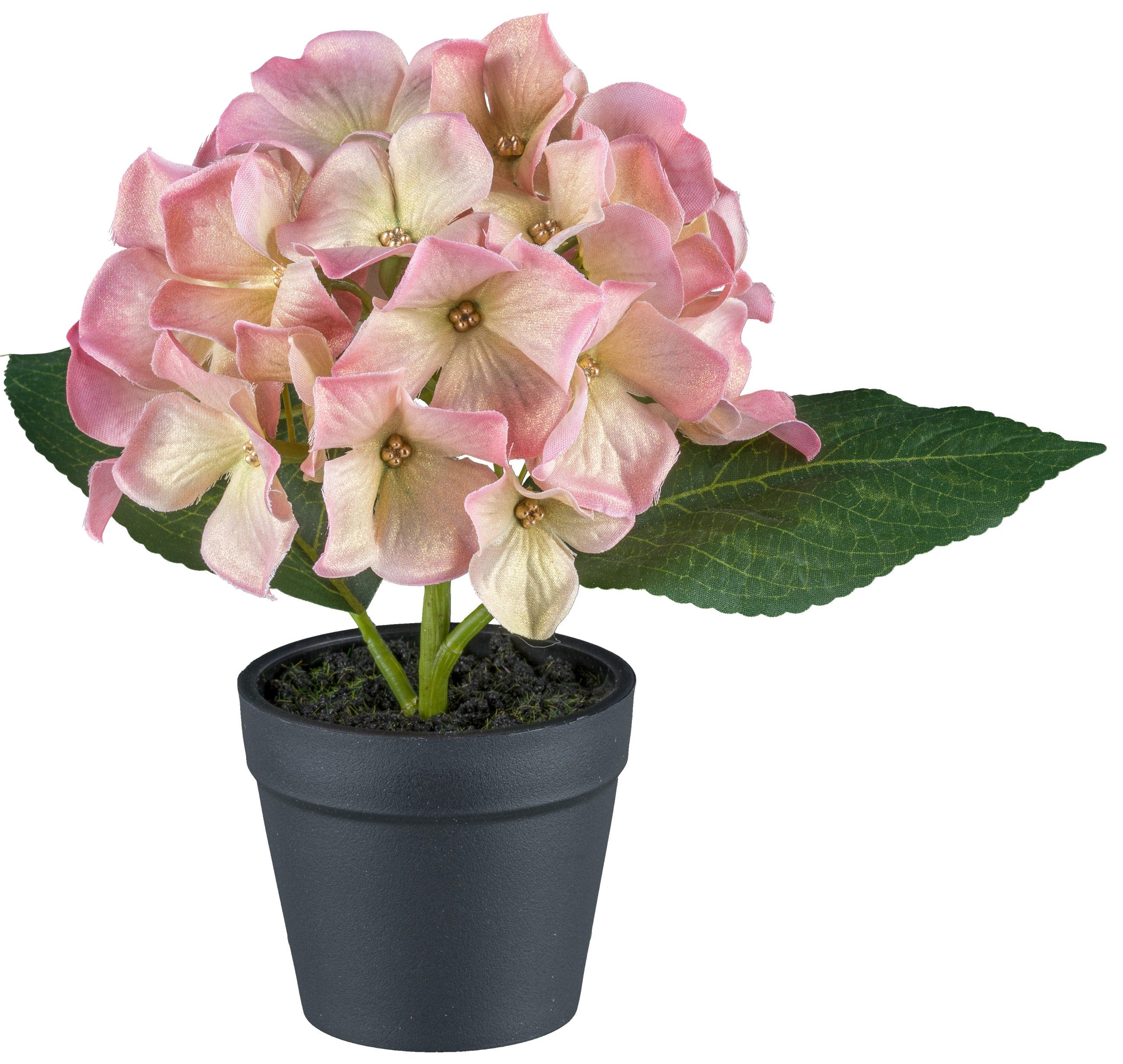 Kunstblume Mini-Hortensie in Pastellfarben, Creativ green, günstig online kaufen