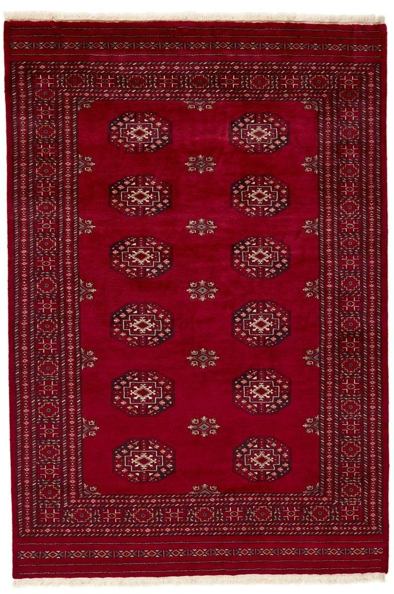 Orientteppich Pakistan 172x249 Handgeknüpfter 8 Nain Trading, Buchara rechteckig, Höhe: Orientteppich, 3ply mm