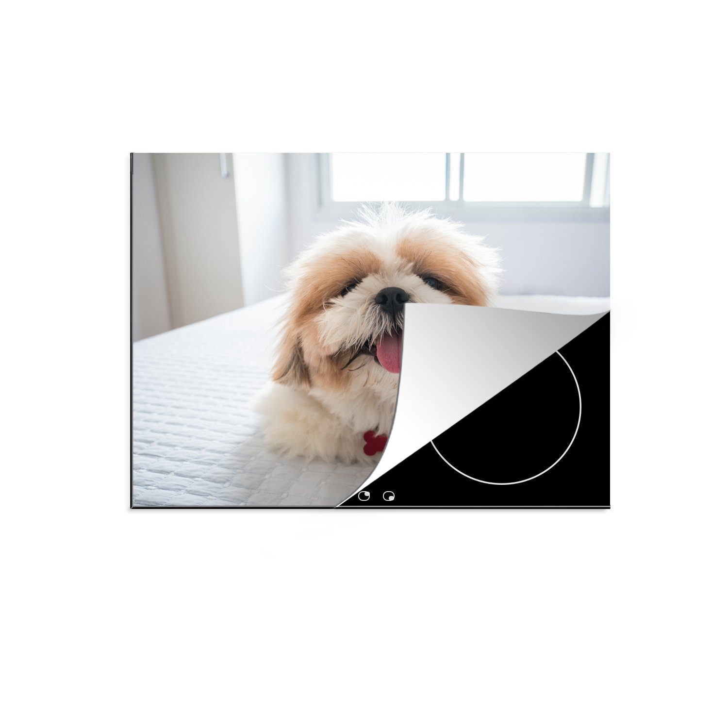 MuchoWow Herdblende-/Abdeckplatte Ein Shih Tzu Hund liegt auf einem weißen Bett, Vinyl, (1 tlg), 59x52 cm, Ceranfeldabdeckung für die küche, Induktionsmatte