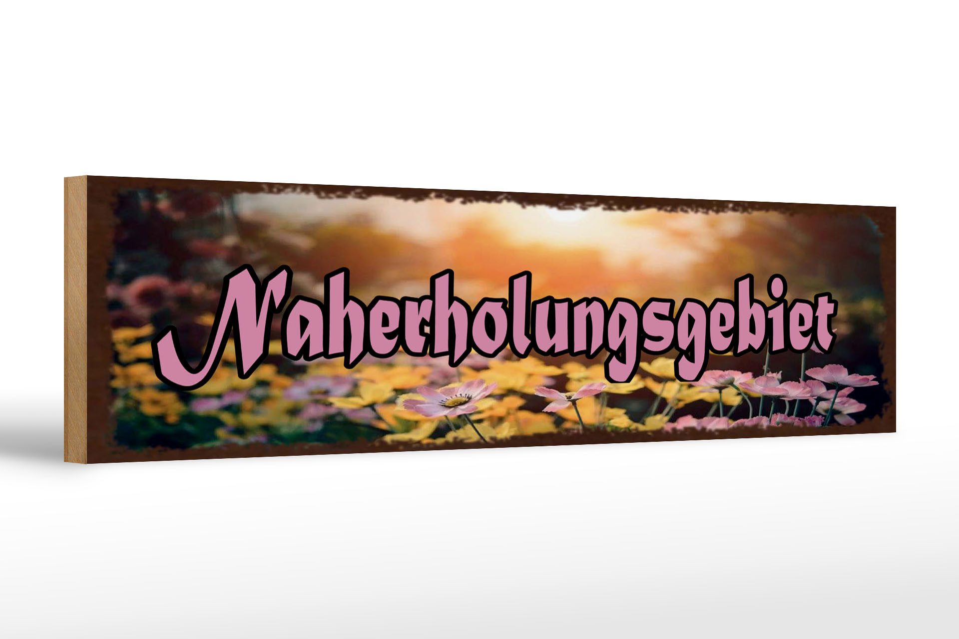 Holzbild Hinweis 46x10 cm Naherholungsgebiet