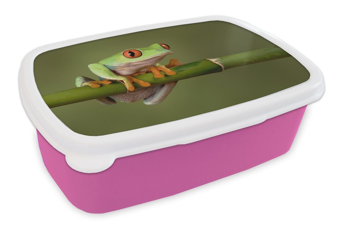 MuchoWow Lunchbox Frosch - Grün - Zweig, Kunststoff, (2-tlg), Brotbox für Erwachsene, Brotdose Kinder, Snackbox, Mädchen, Kunststoff rosa | Lunchboxen
