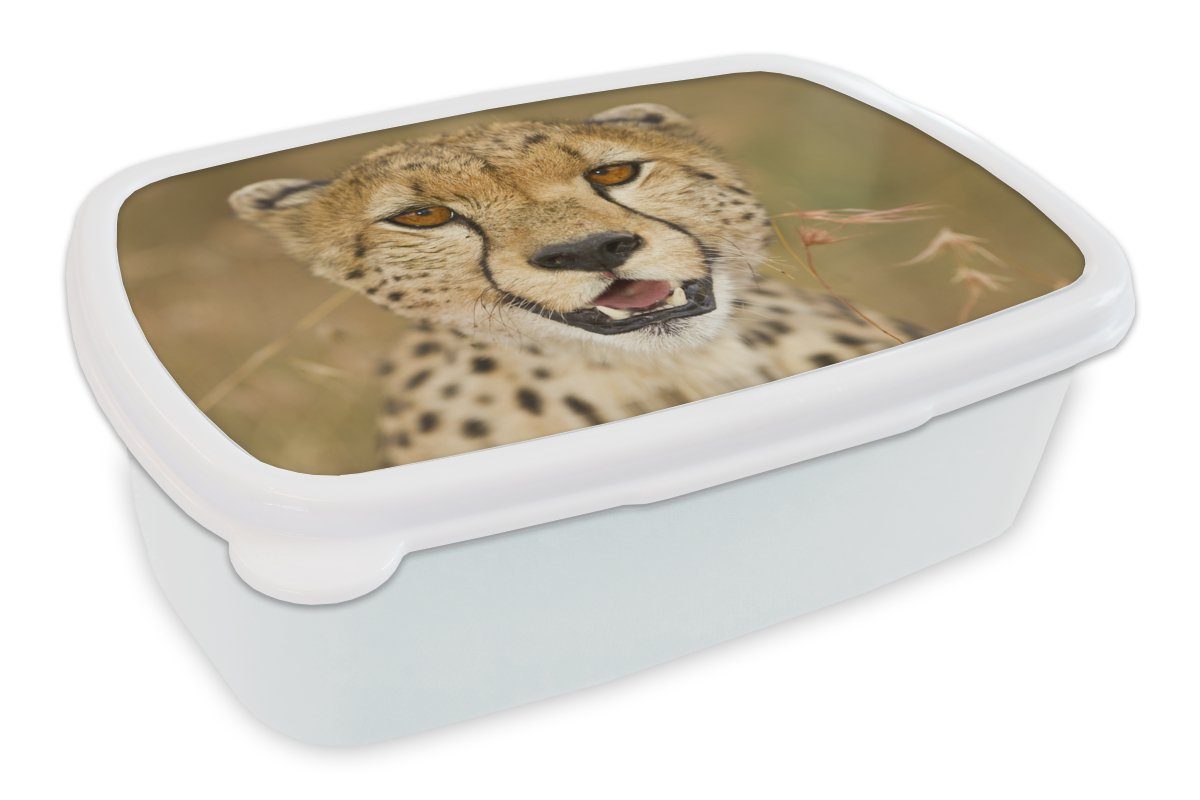 MuchoWow Lunchbox Leopard - Kopf - Pflanzen, Kunststoff, (2-tlg), Brotbox für Kinder und Erwachsene, Brotdose, für Jungs und Mädchen weiß