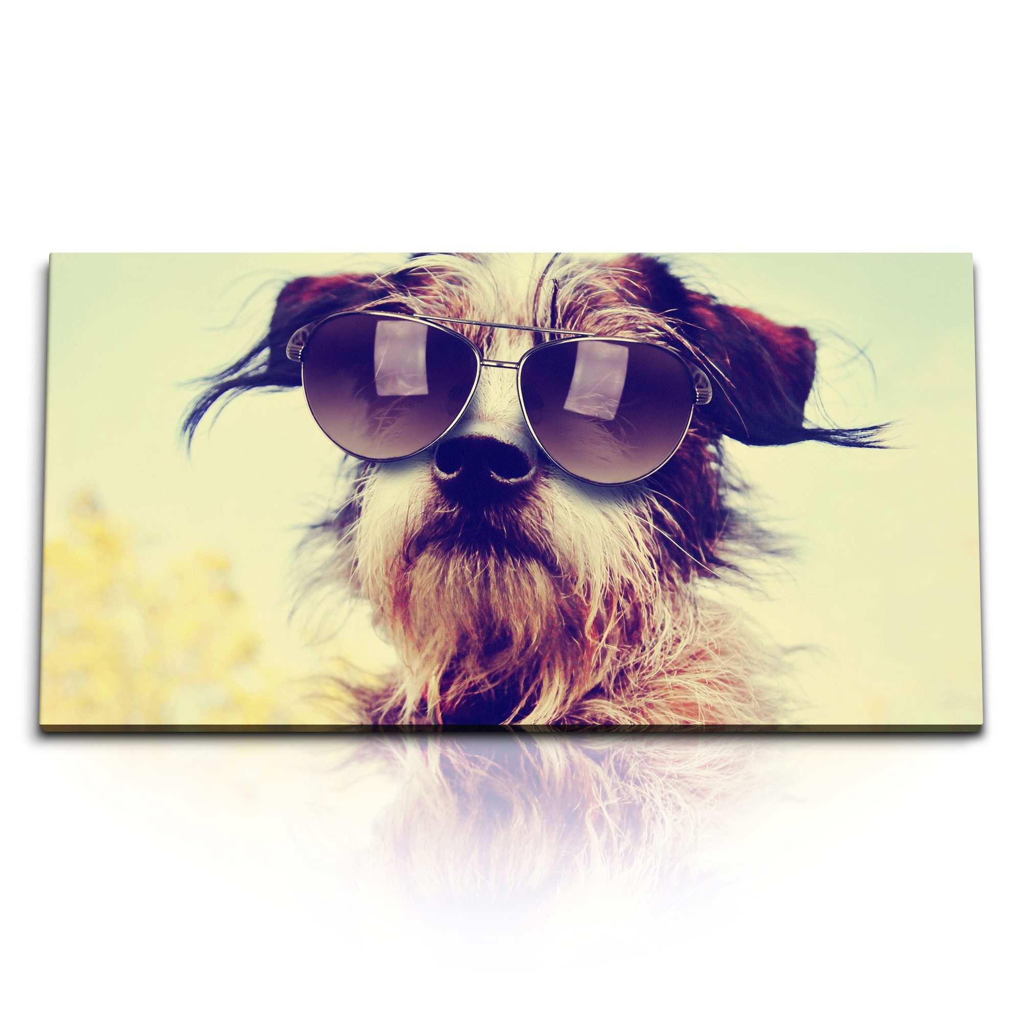 Leinwandbild Kunstdruck Bilder 120x60cm Kleiner Hund mit Sonnenbrille Sonnenschein
