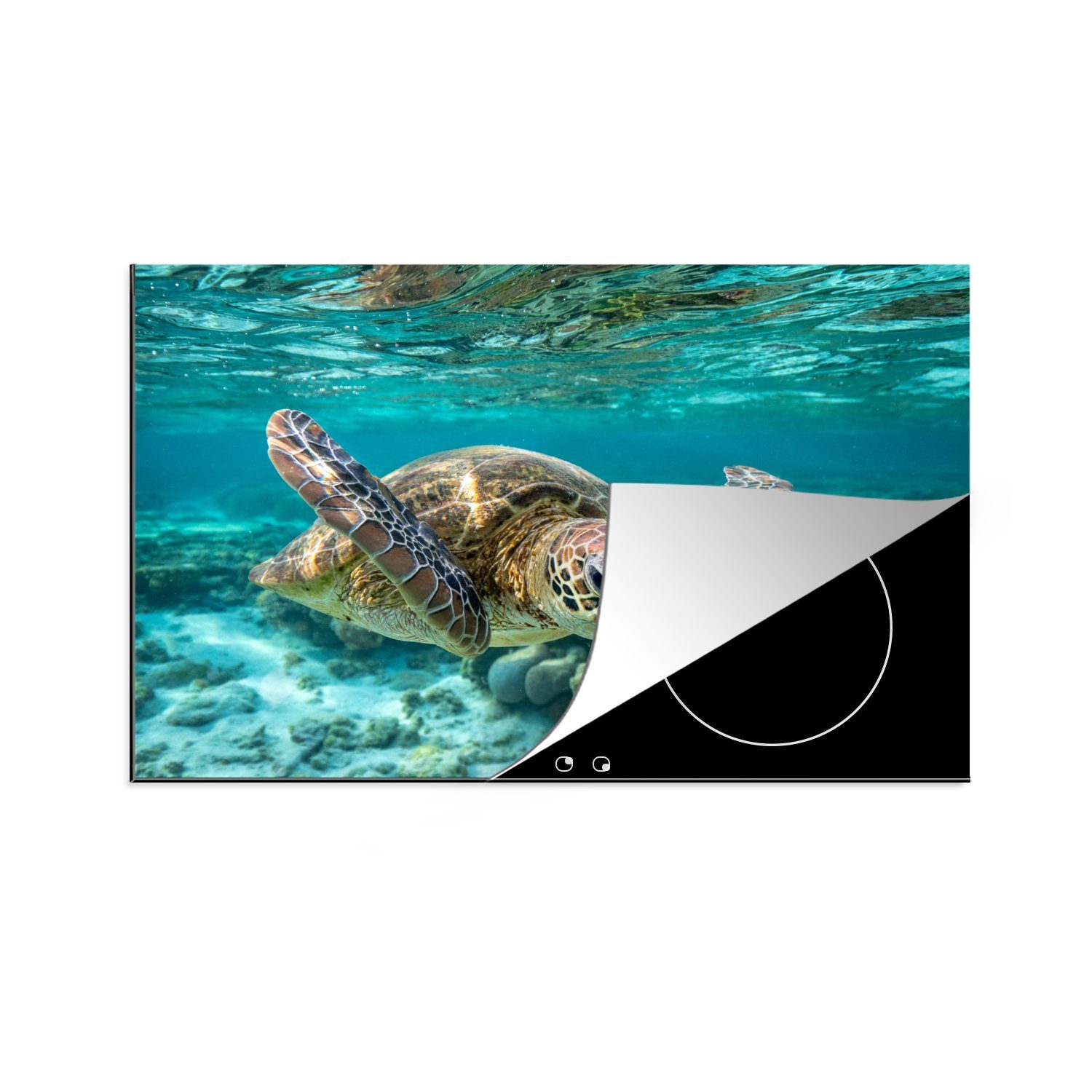 MuchoWow Herdblende-/Abdeckplatte Eine Schildkröte schwimmt unter Wasser in Bodennähe, Vinyl, (1 tlg), 81x52 cm, Induktionskochfeld Schutz für die küche, Ceranfeldabdeckung