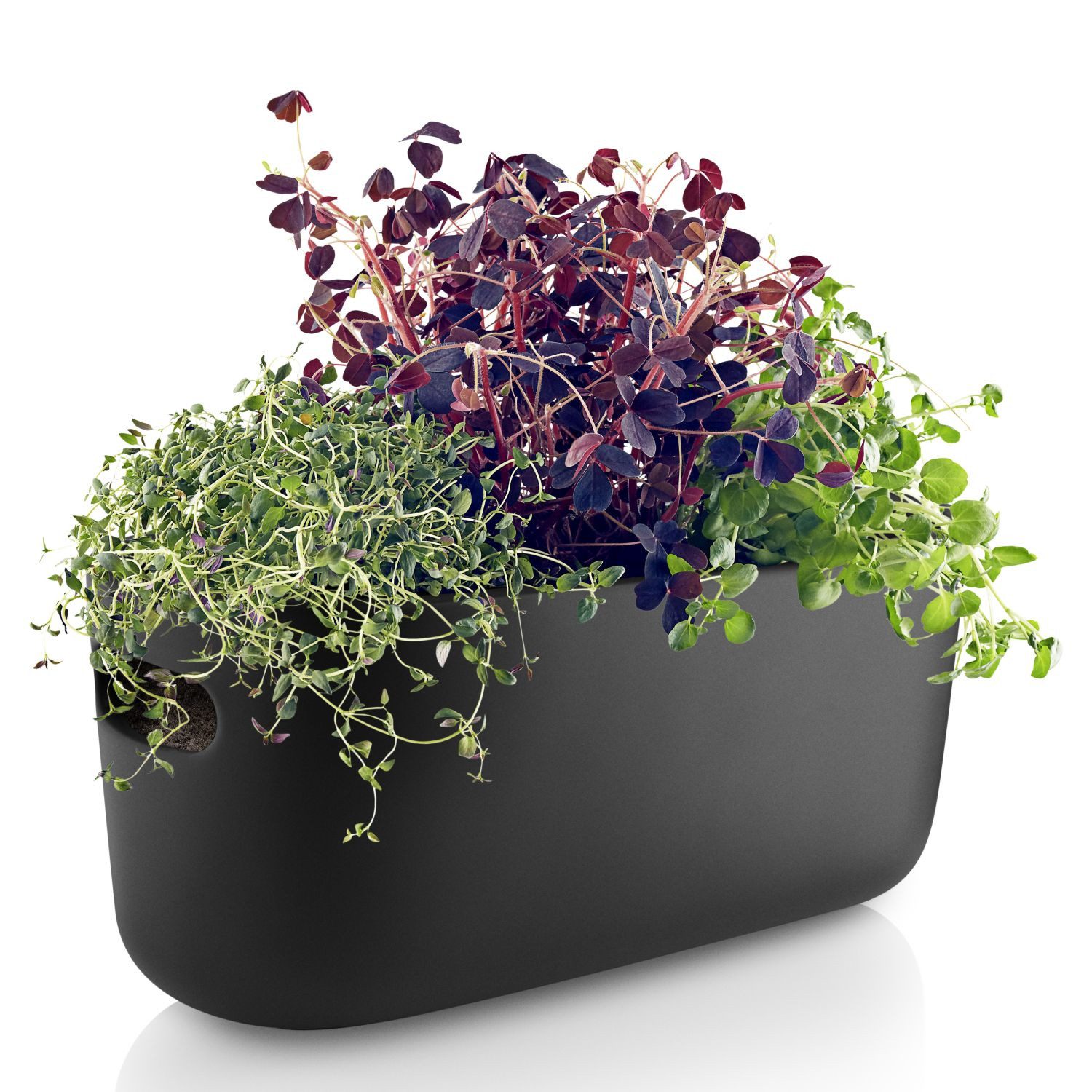 Eva Solo Blumentopf Selbstbewässernder Kräutertopf Schwarz