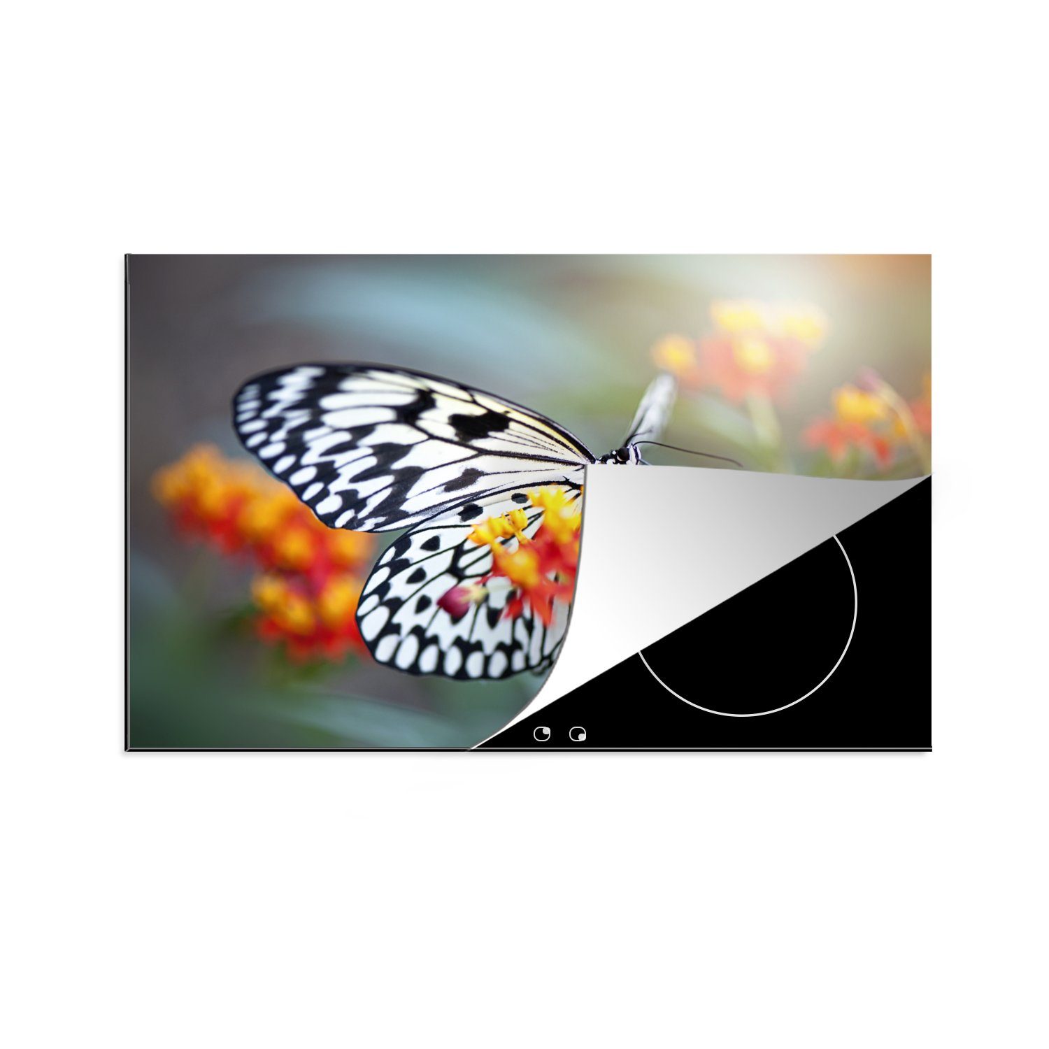 MuchoWow Herdblende-/Abdeckplatte Nahaufnahme Schwalbenschwanz-Schmetterling, Vinyl, (1 tlg), 81x52 cm, Induktionskochfeld Schutz für die küche, Ceranfeldabdeckung