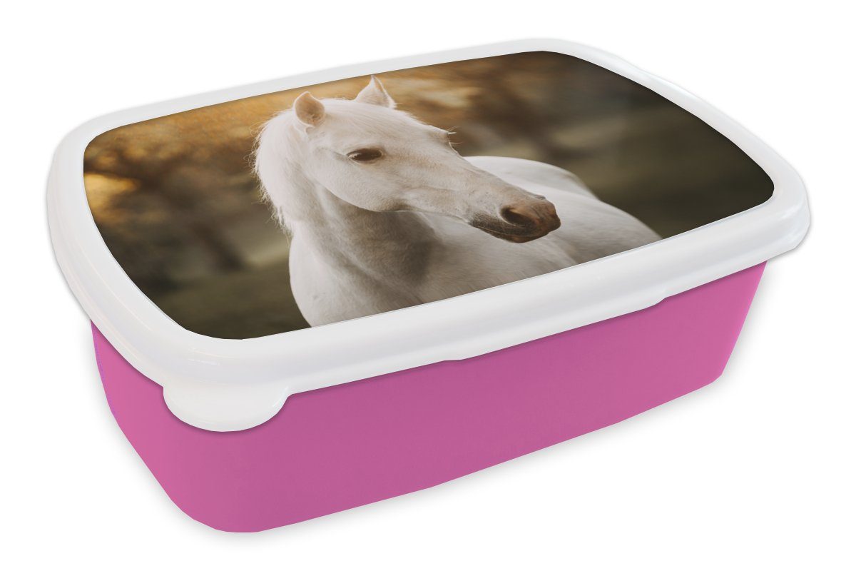Tiere Sonne Brotbox Erwachsene, Pferd Mädchen, Kunststoff Herbst Brotdose Lunchbox - für Natur, Snackbox, - Kinder, - Kunststoff, (2-tlg), rosa MuchoWow -