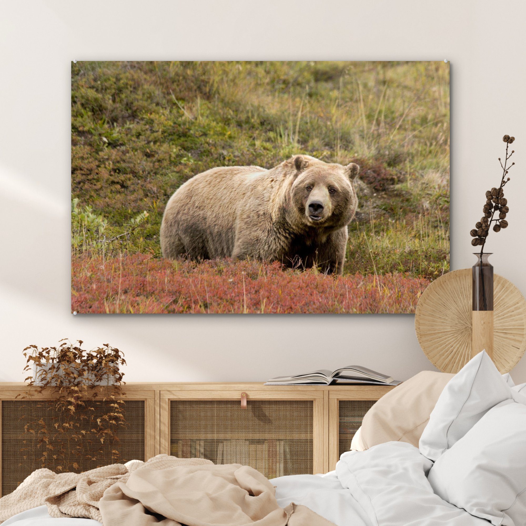 MuchoWow Acrylglasbild Bär Grizzly, (1 Schlafzimmer & - - Wohnzimmer St), Heidekraut Acrylglasbilder