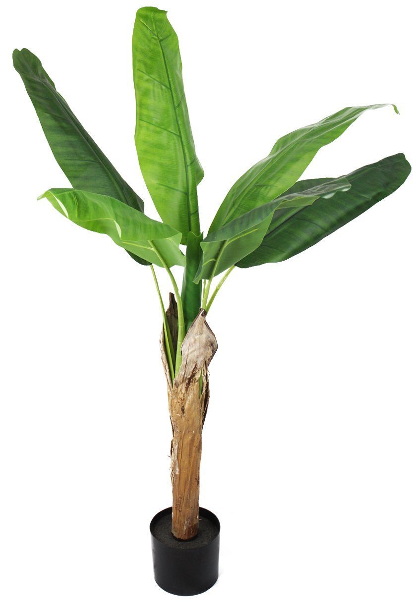 Kunstpflanze Bananen Baum KP501 Bananen Staude, Arnusa, Höhe 120 cm, im Topf. € 44,99