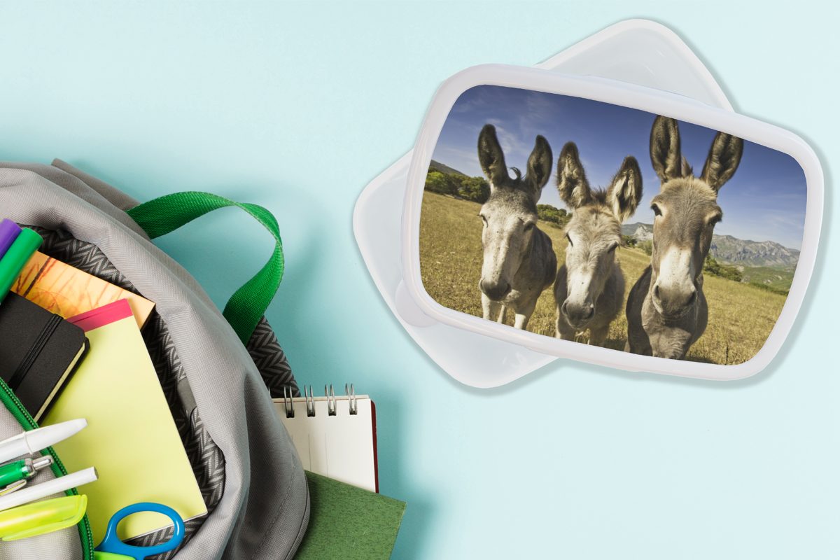 MuchoWow Lunchbox Drei Esel auf Erwachsene, für und Jungs Wiese, weiß Kunststoff, einer Mädchen für und (2-tlg), Kinder Brotdose, Brotbox