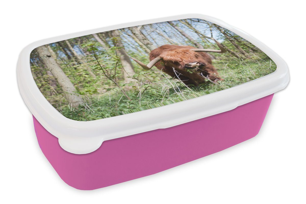 MuchoWow Lunchbox Schottischer Highlander - Wald - Schottische Kuh, Kunststoff, (2-tlg), Brotbox für Erwachsene, Brotdose Kinder, Snackbox, Mädchen, Kunststoff rosa