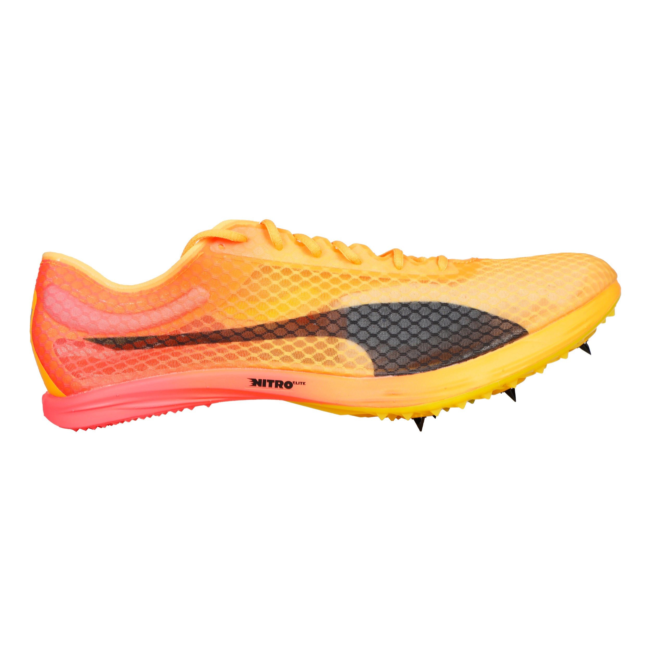 PUMA Evospeed Distance Nitro Elite+ 4 - Spikeschuh Laufschuh