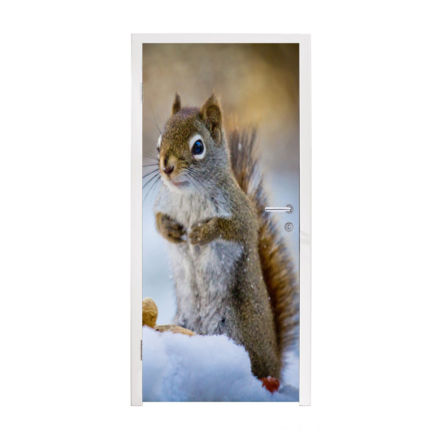 MuchoWow Türtapete Eichhörnchen - Nüsse - Schnee - Winter - Nagetiere - Jahreszeiten, Matt, bedruckt, (1 St), Fototapete für Tür, Türaufkleber, 75x205 cm