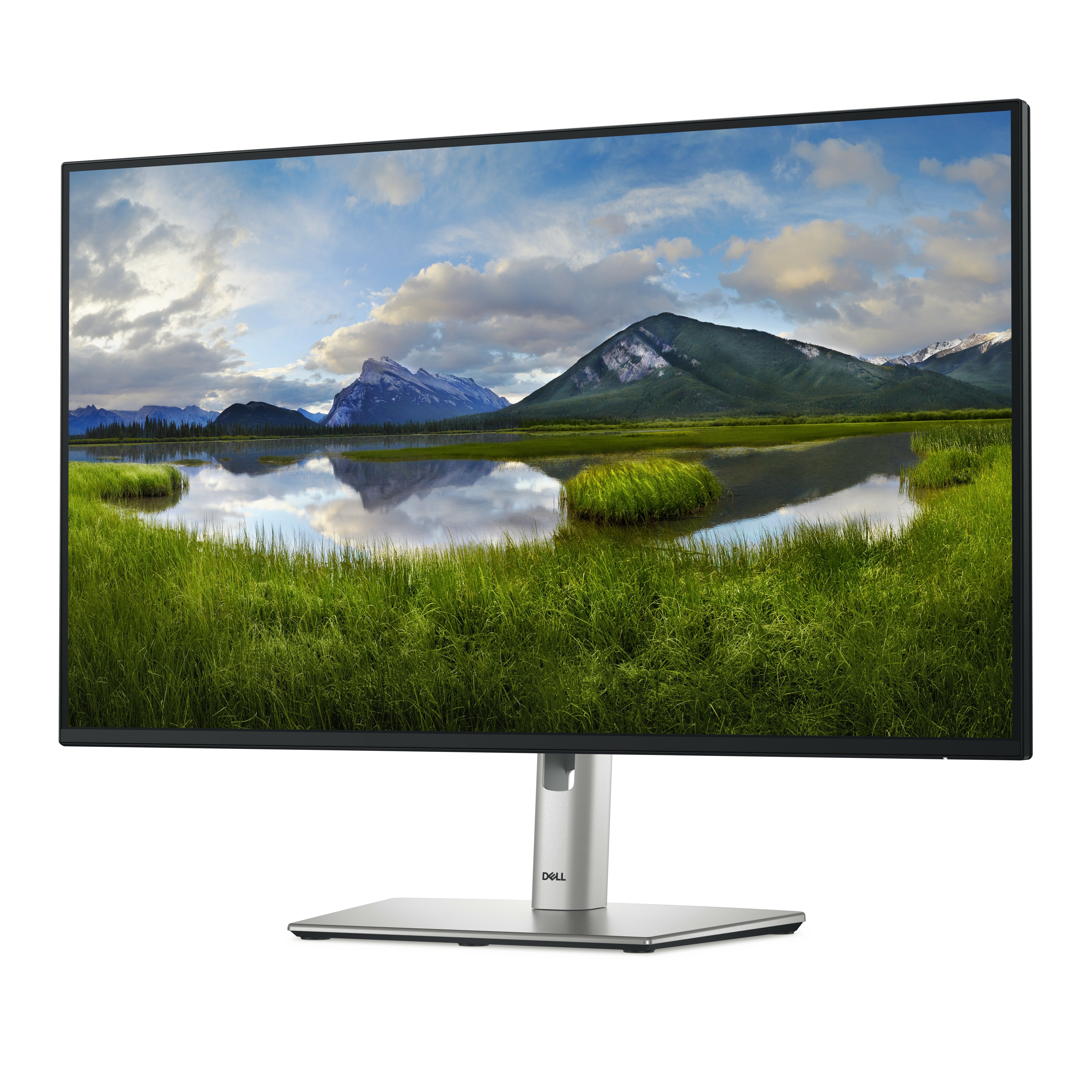 Dell Flüssiger Displayschutz