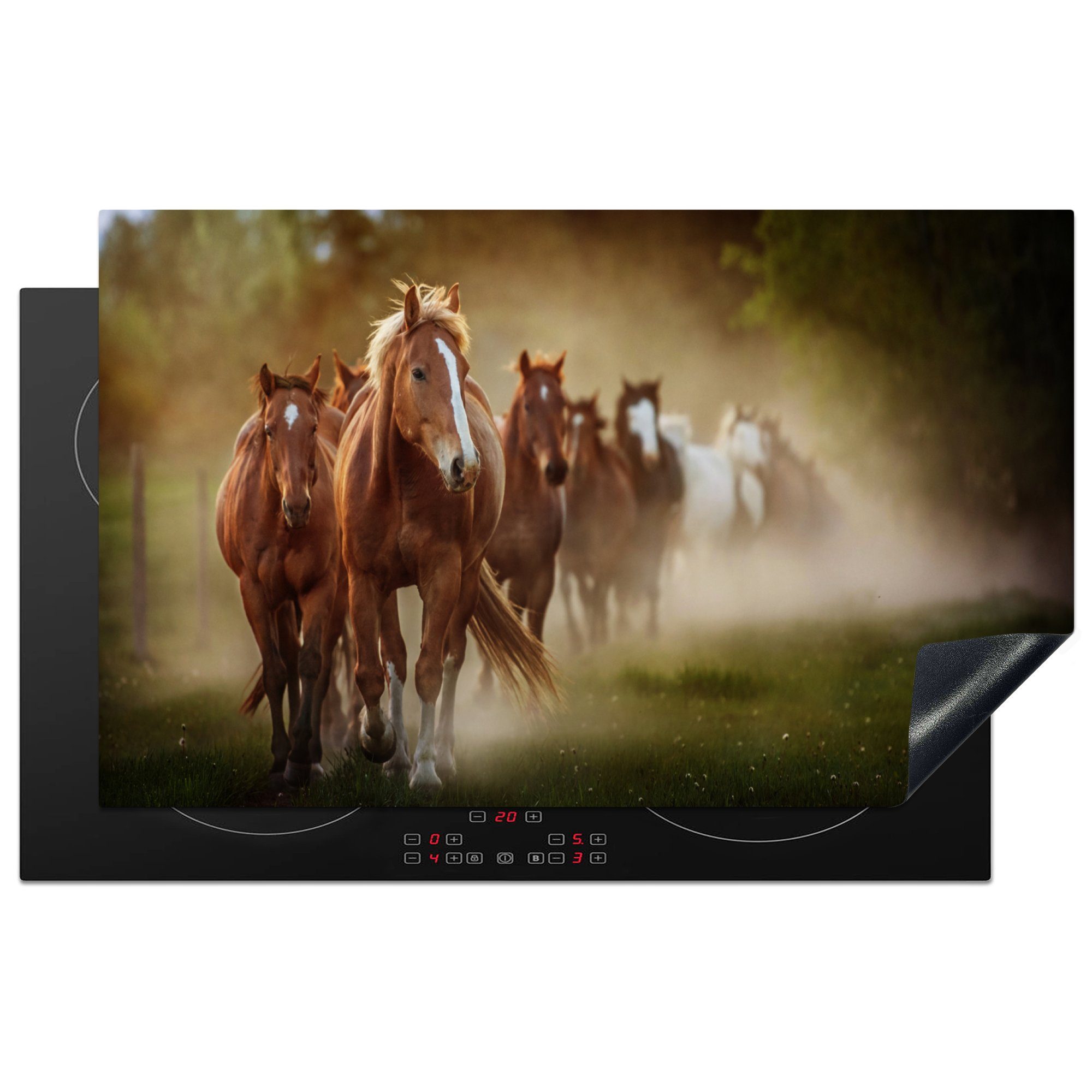 MuchoWow Herd-Abdeckplatte Pferde - Licht - Natur, Vinyl, (1 tlg), Herdplattenabdeckung für Ceranfeld, Herdplatten Vinyl, 83x51 cm
