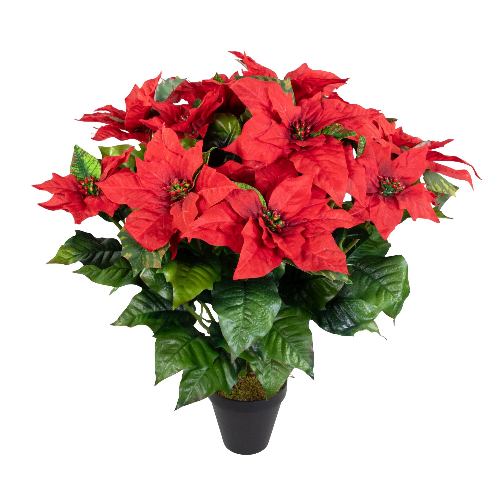 Kunstblume Weihnachtsstern 65x60cm im Topf rot PM Kunstblumen künstliche Bl günstig online kaufen