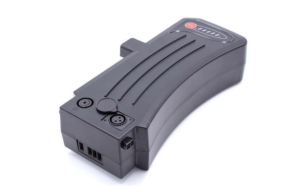 vhbw Ersatz für Samsung SDI SideClick 24V, SDI2510B für EBike Akku