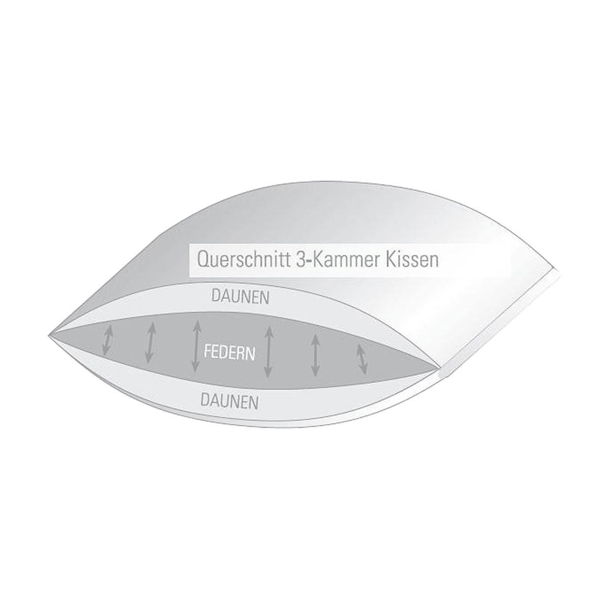 BETTWARENSHOP 3-Kammer-Kopfkissen Premium, Füllung: Füllung: Außenkammer 10% Federn, 90% Daunen, Innenkammer 100% Federn Klasse 1, optimale Stützkraft und tolle – Bild 2 von 5