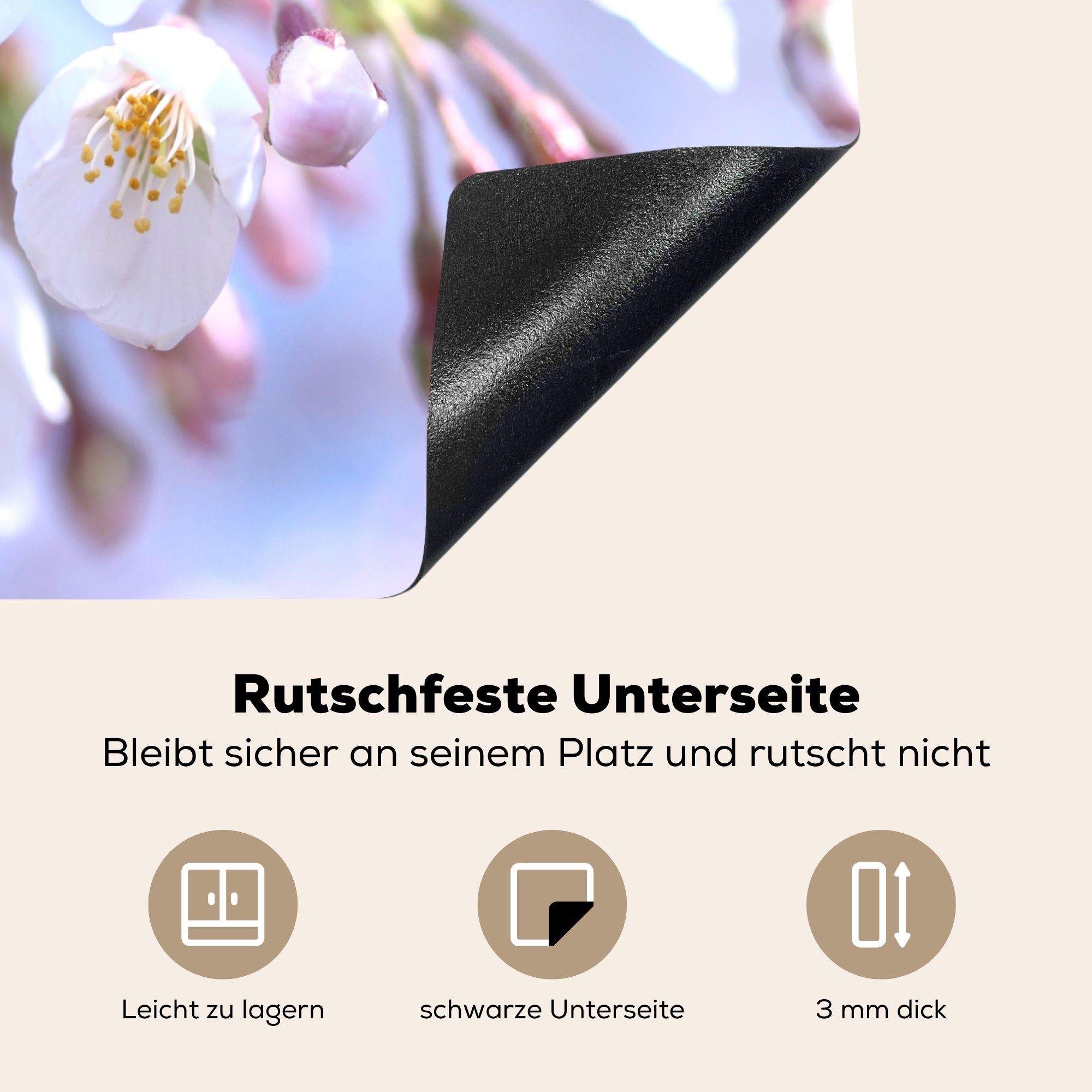 - Vinyl, für 59x52 Zweig, Herdblende-/Abdeckplatte cm, Sakura Blumen (1 Induktionsmatte MuchoWow - Ceranfeldabdeckung küche, die tlg),