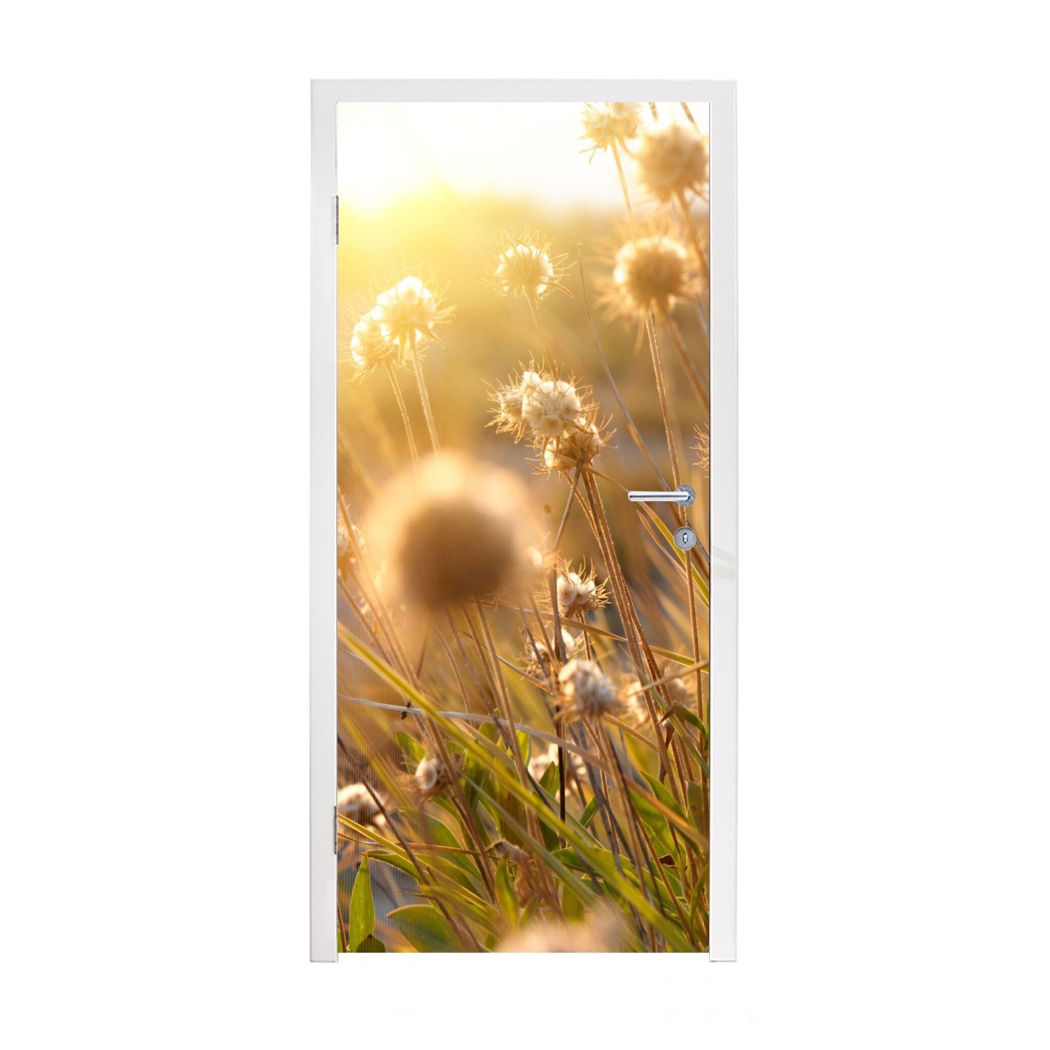 Matt, bedruckt, Pflanzen 75x205 Fototapete (1 Blumen für Sonne St), MuchoWow - Türaufkleber, - Tür, cm - - Horizont, Türtapete Natur