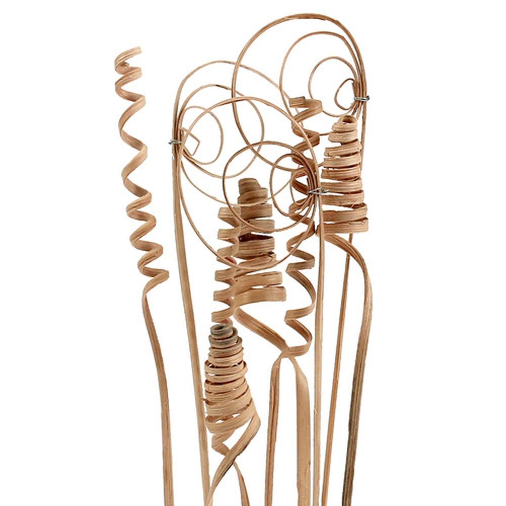 Trockenblume Cane Sortiment Mini Natur 75 günstig online kaufen