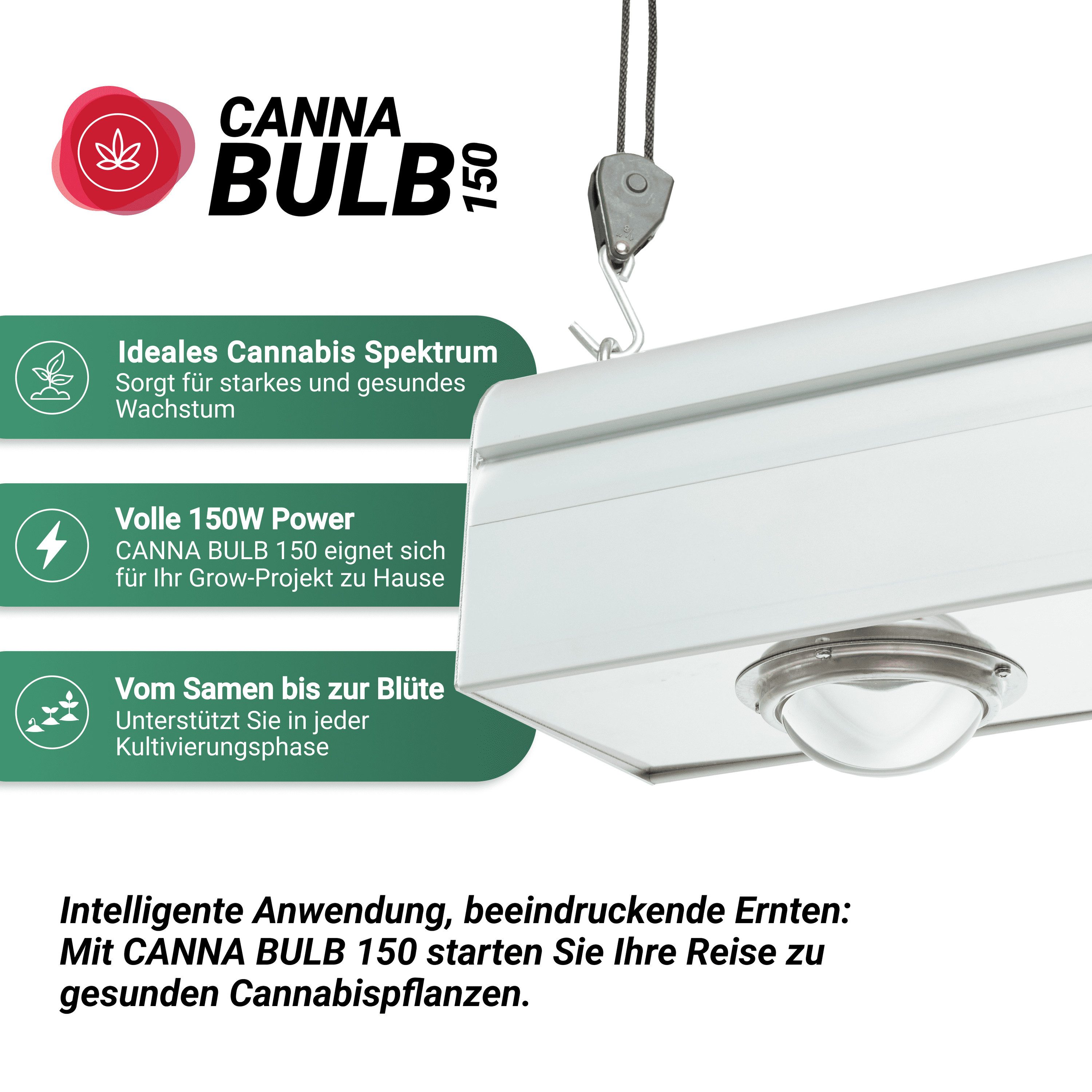 PARUS Pflanzenlampe CANNA, Leuchtmittel für Pflanzen, Grow White Spektrum, Parus by Venso CANNA BULB 150, LED Pflanzenlampe, 150 Watt Pflanzenlic