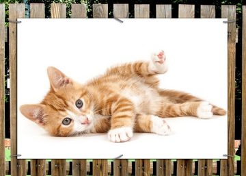 Wallario Sichtschutzzaunmatten Süße Katze mit großen Augen - rot weiß getigert