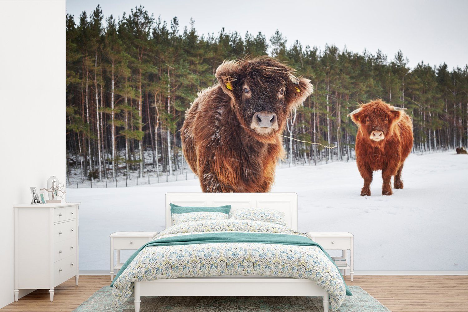 MuchoWow Fototapete Schottische Highlander - Schnee - Kühe, Matt, bedruckt, (6 St), Wallpaper für Wohnzimmer, Schlafzimmer, Kinderzimmer, Vinyl Tapete | Fototapeten