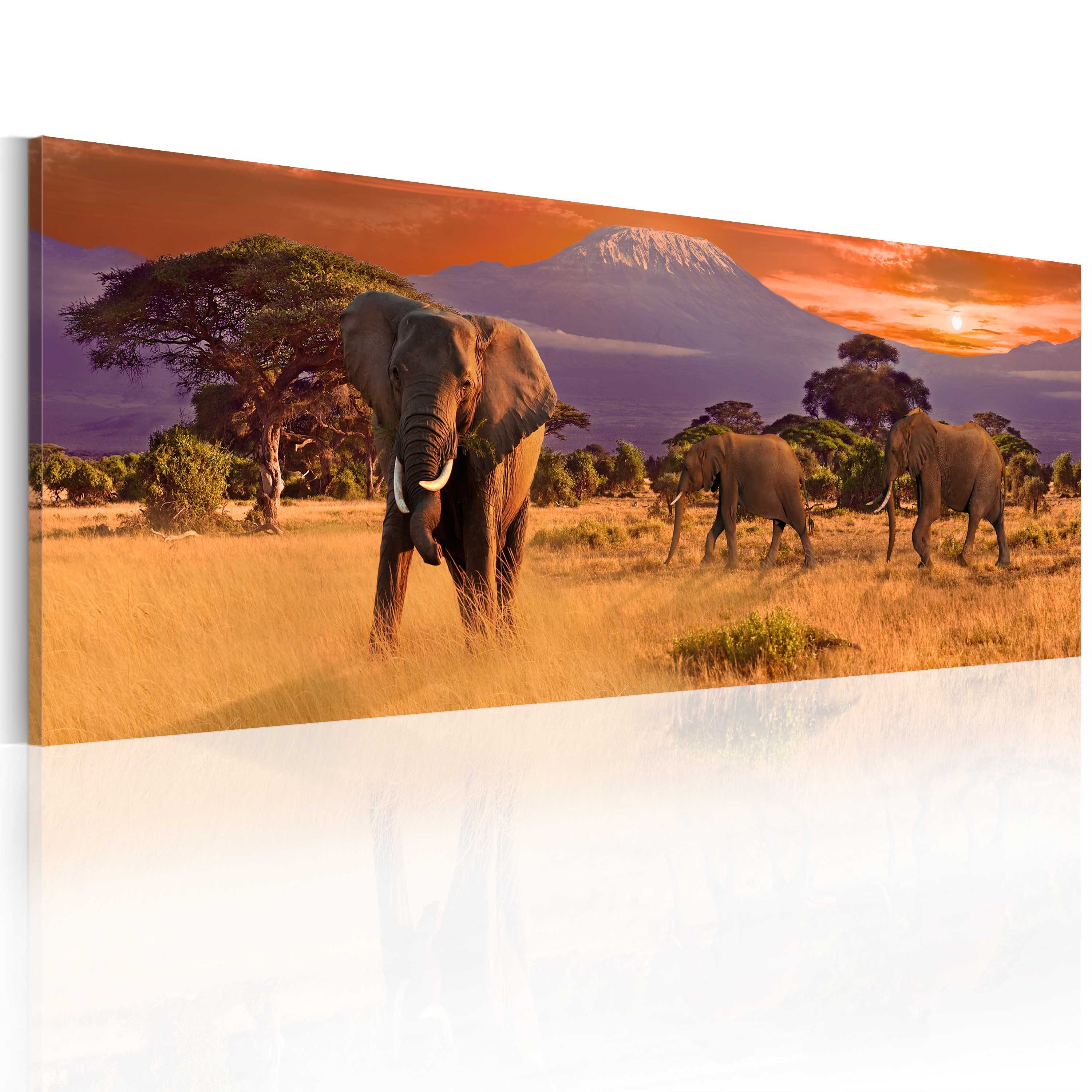 Basera® Wandbild Leinwandbild 030112-57