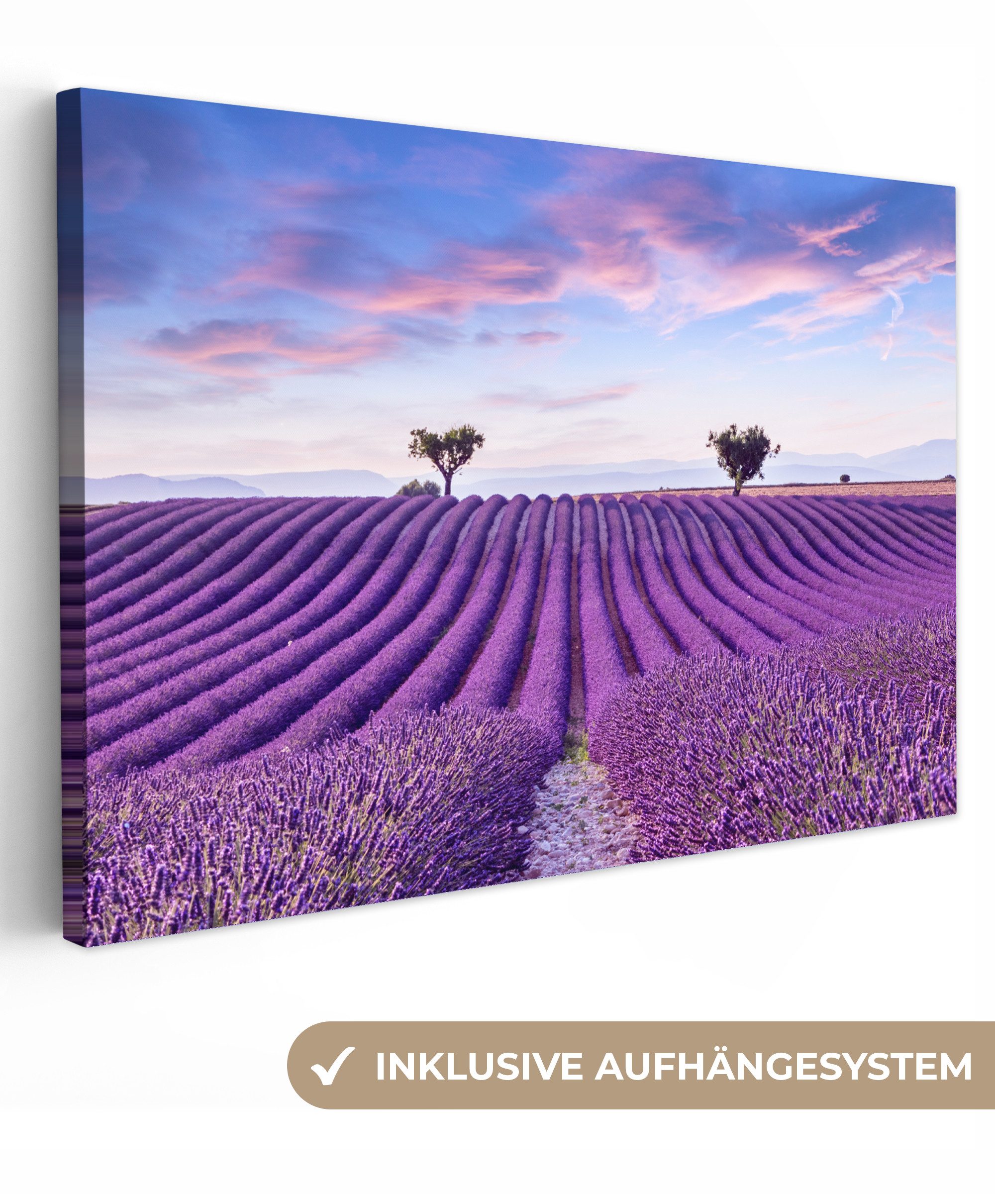 OneMillionCanvasses® Leinwandbild Lavendel - Natur - Lila - Bäume - Blumen, günstig online kaufen