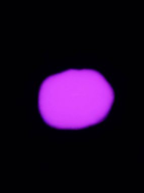 PSYWORK Bastelfarbe 100ml Schwarzlicht Unsichtbare Farbe "Invisible Color" Pink, UV-aktiv, leuchtet unter Schwarzlicht
