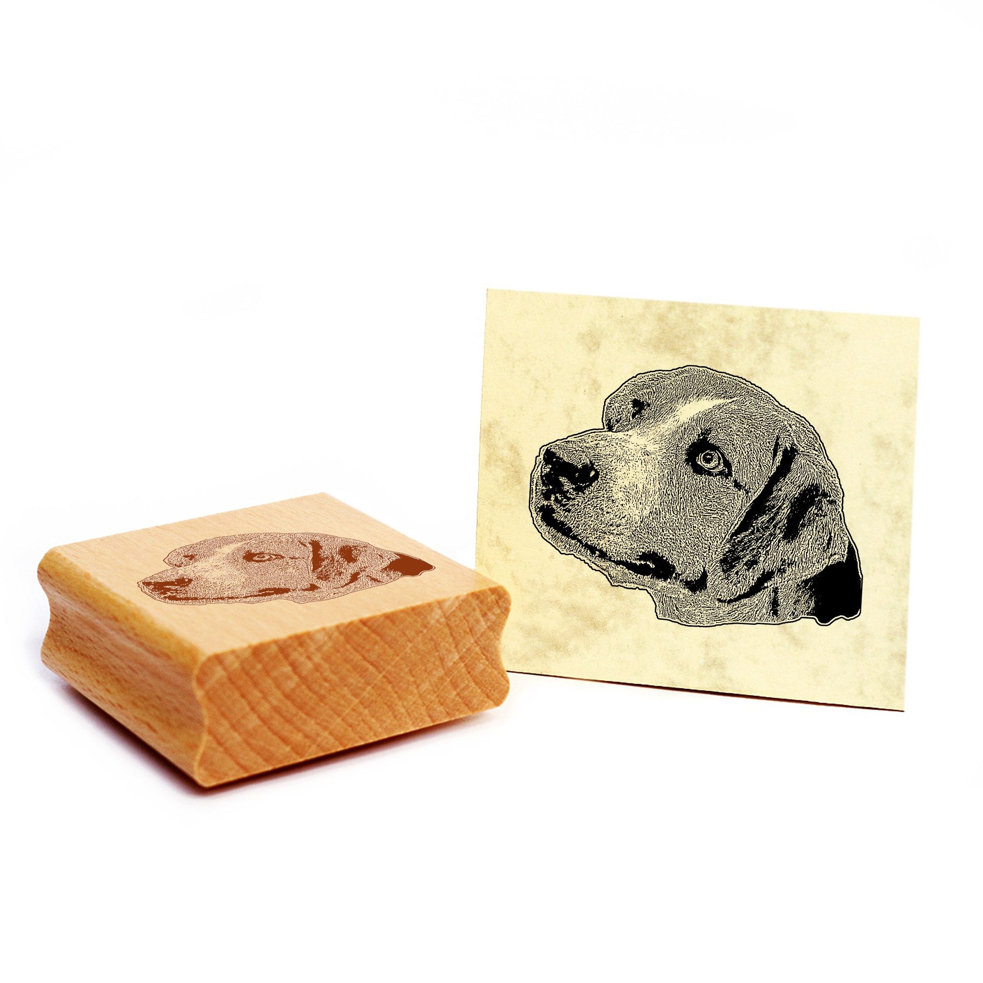Dekolando Stempel Motivstempel Englische Foxhound Stempel Hund Holzstempel 48 x 38 mm