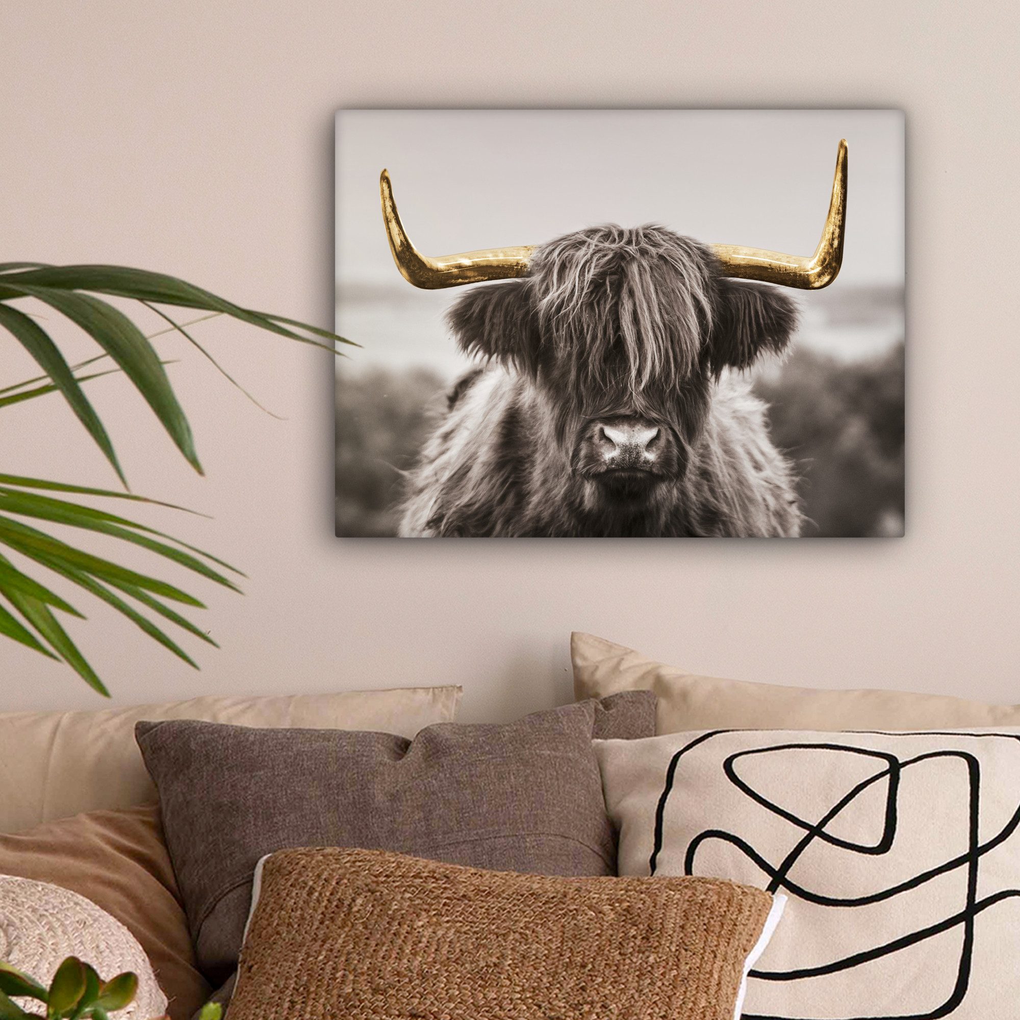 OneMillionCanvasses® Leinwandbild Scottish Highlander - Schwarz günstig online kaufen