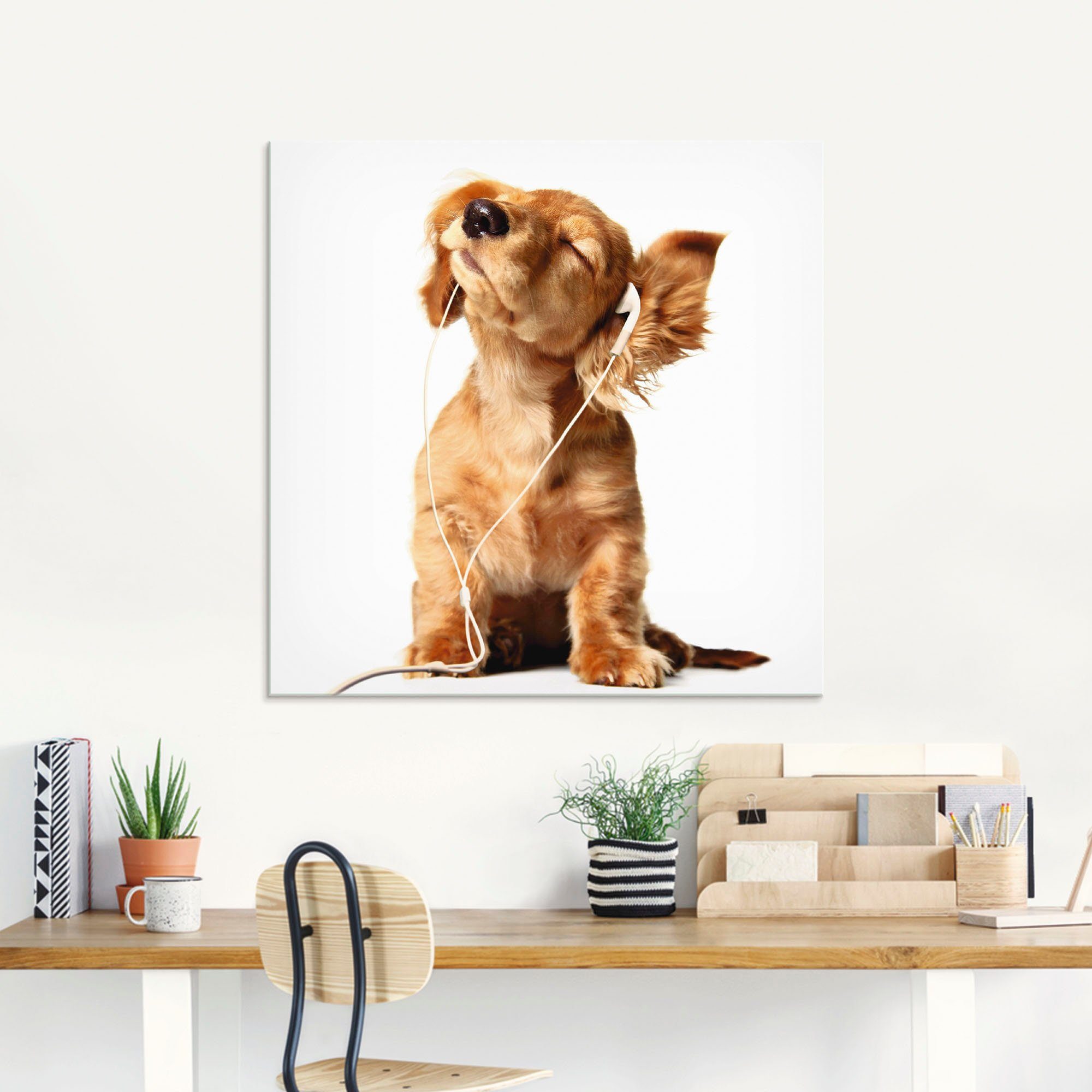 Artland Glasbild Junger Hund hört Musik über Kopfhörer, Haustiere (1 St), in verschiedenen Größen