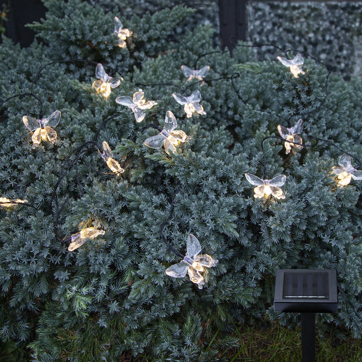 MARELIDA LED-Lichterkette LED Solar Lichterkette Schmetterlinge günstig online kaufen
